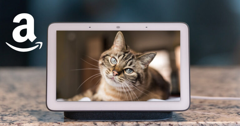 おすすめ Amazon Echoのペットカメラ活用法 ろくログ